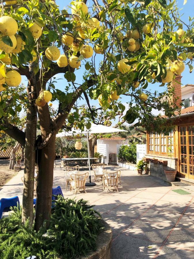 Casa Lucia Bed & Breakfast Соренто Екстериор снимка