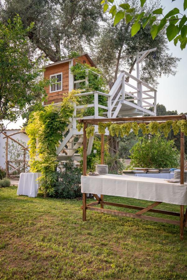 Casa Lucia Bed & Breakfast Соренто Екстериор снимка